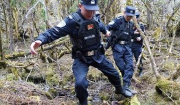 边境巡逻在线观看,实时在线观看，揭秘国门守护者